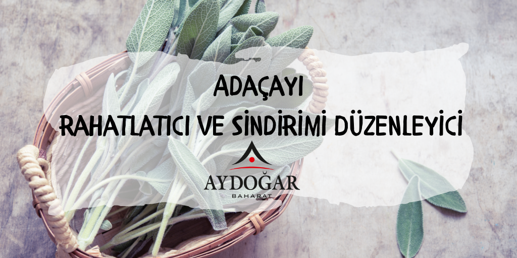 Adaçayı: Rahatlatıcı ve Sindirimi Düzenleyici - Doğal Bir Şifa Kaynağı