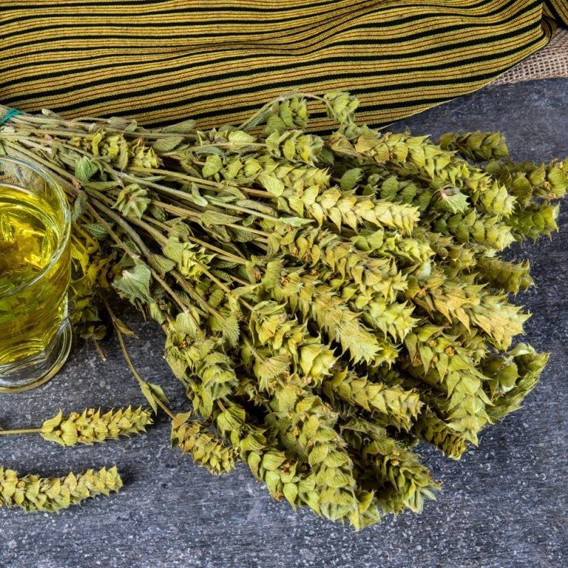 Adaçayı