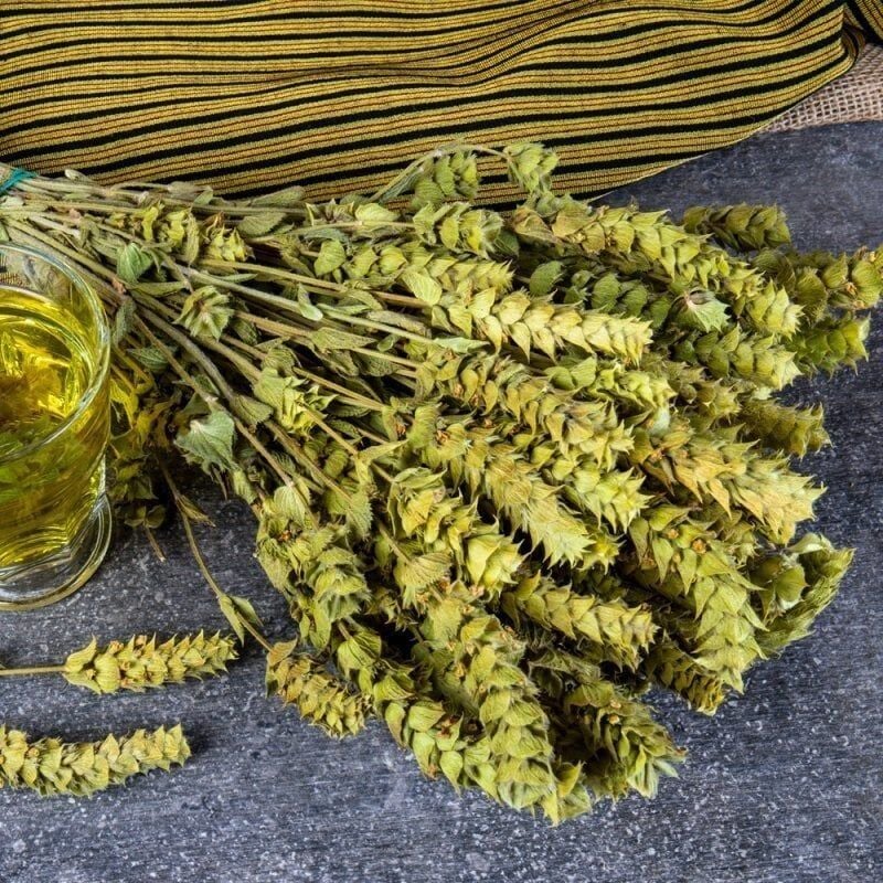 Adaçayı