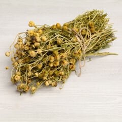 Üzerlik